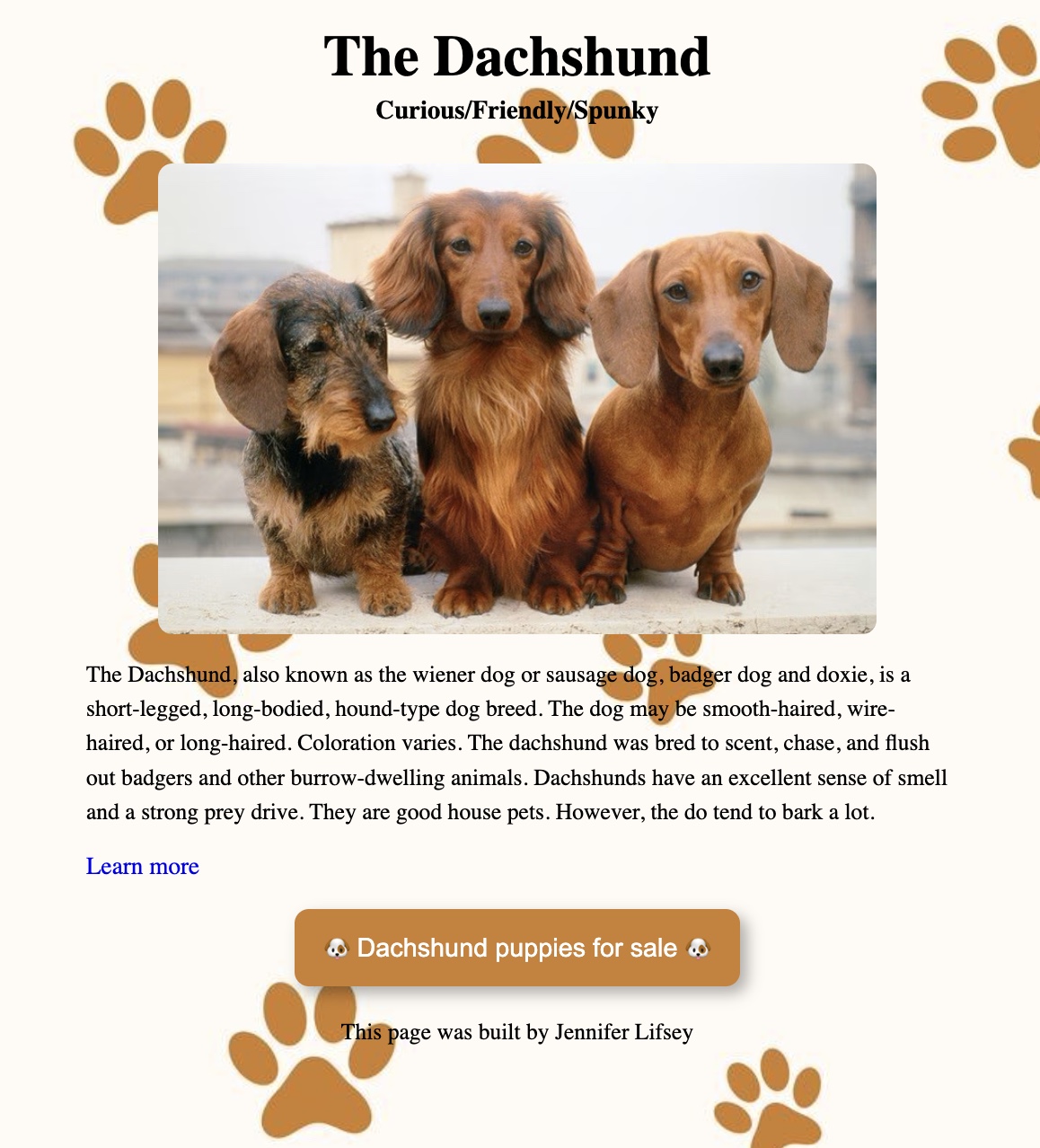 Dachshund project preview